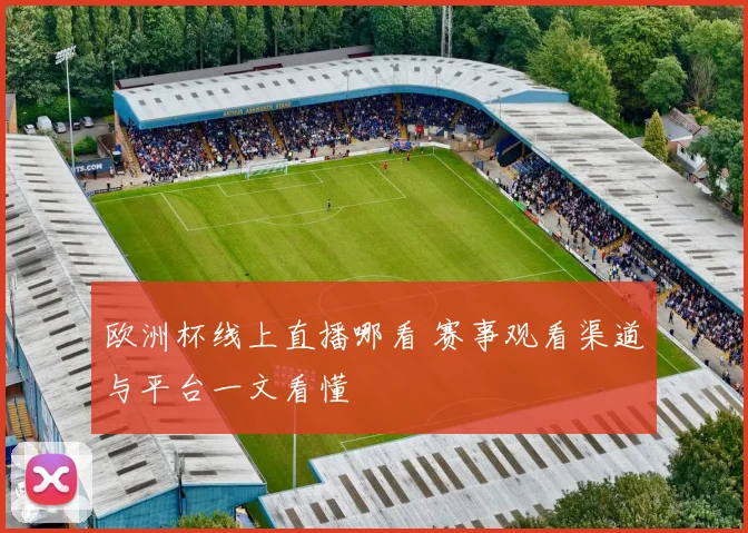 欧洲杯线上直播哪看 赛事观看渠道与平台一文看懂