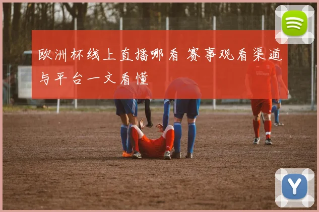 欧洲杯线上直播哪看 赛事观看渠道与平台一文看懂